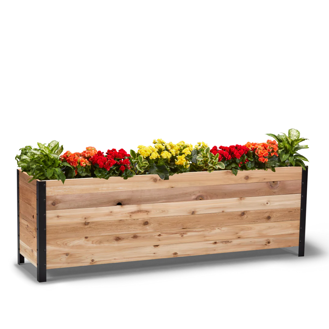 Planter Boxes