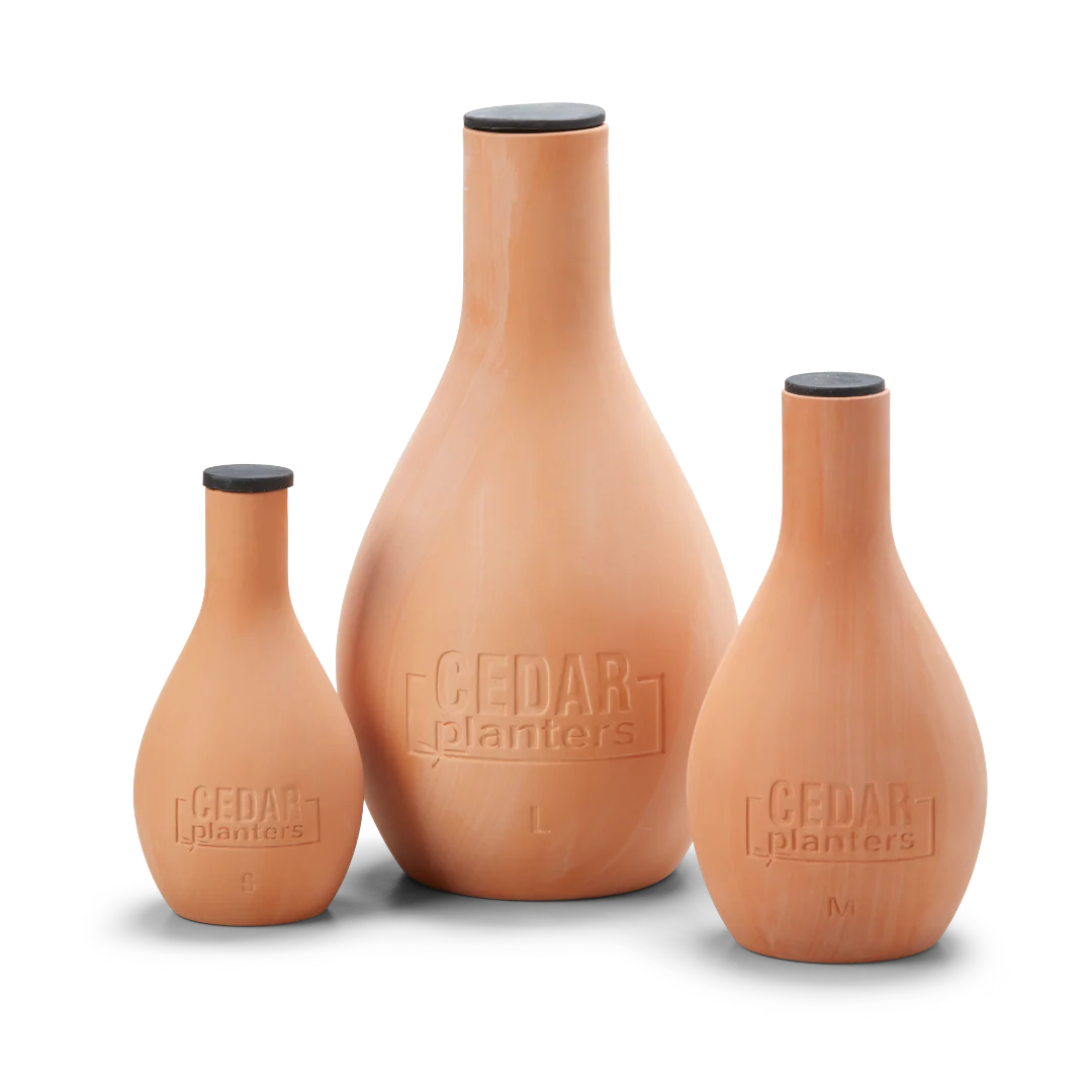 Enhace Your Garden with the Perfect Accessories